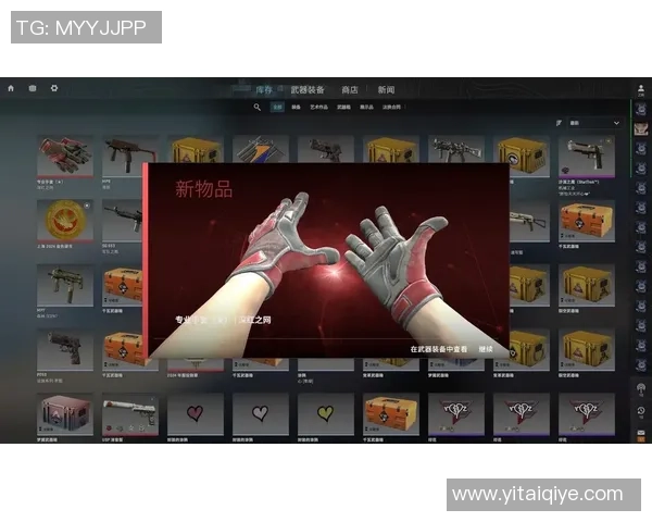 CSGO装备选购指南：适合玩家的游戏手柄推荐与使用体验分享